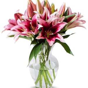 Stem Pink Oriental Lilies (Glass Vase Included)