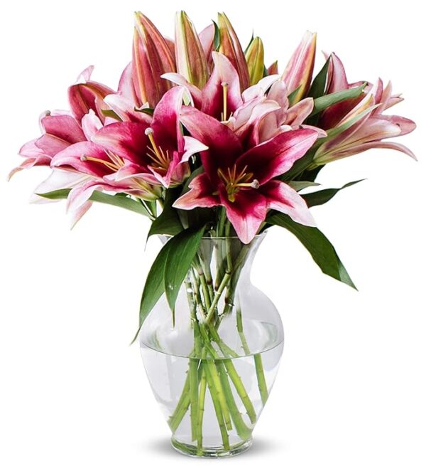 Stem Pink Oriental Lilies (Glass Vase Included)